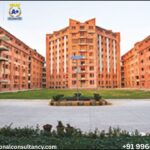 sharda university